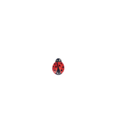Coccinella in ceramica