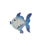 Pesce con calamita